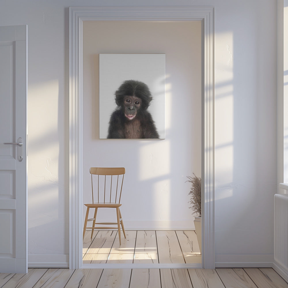 Bébé singe | Tableaux sur Toile