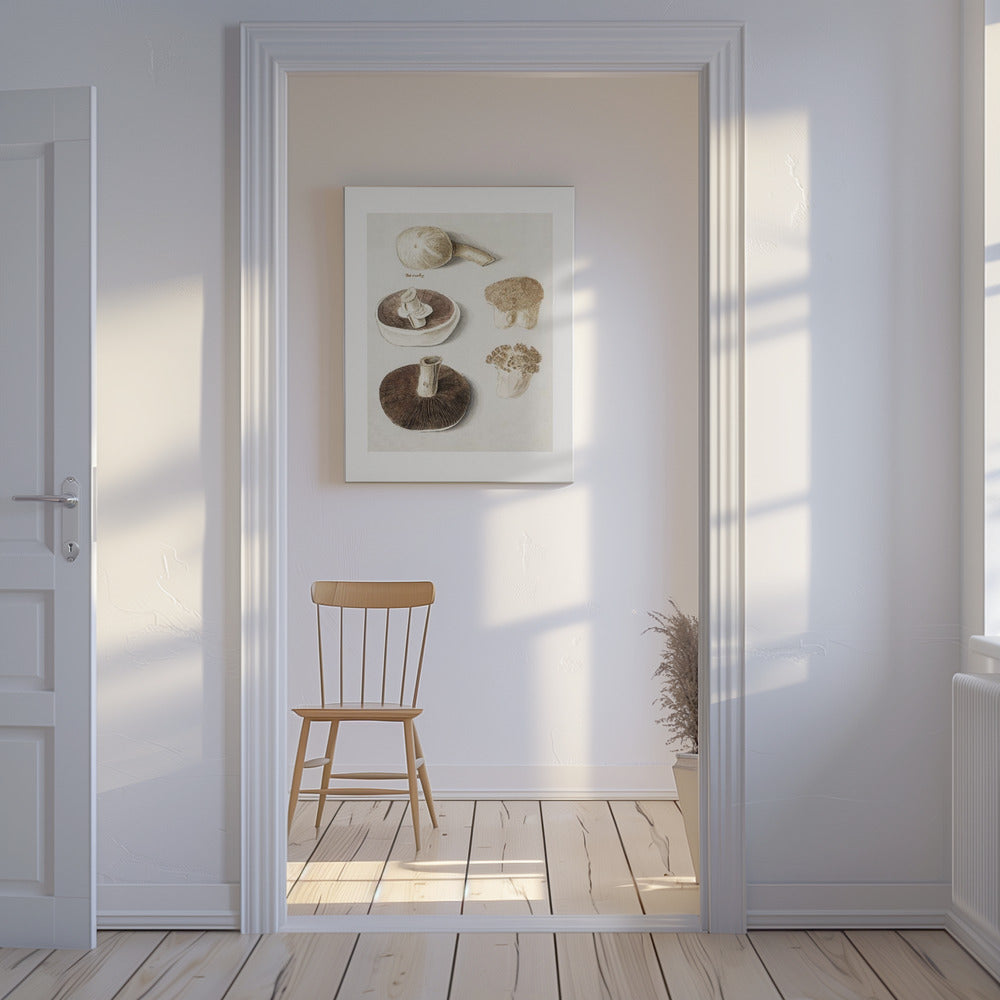 Vanlig ängssvamp, Agaricus Campestris stående | Canvas