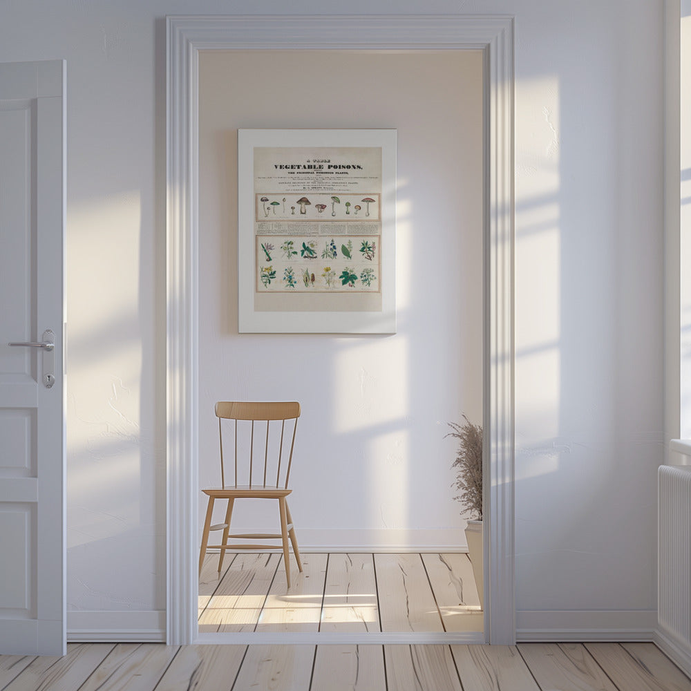 Champignons vénéneux Poisons irritants | Tableaux sur Toile