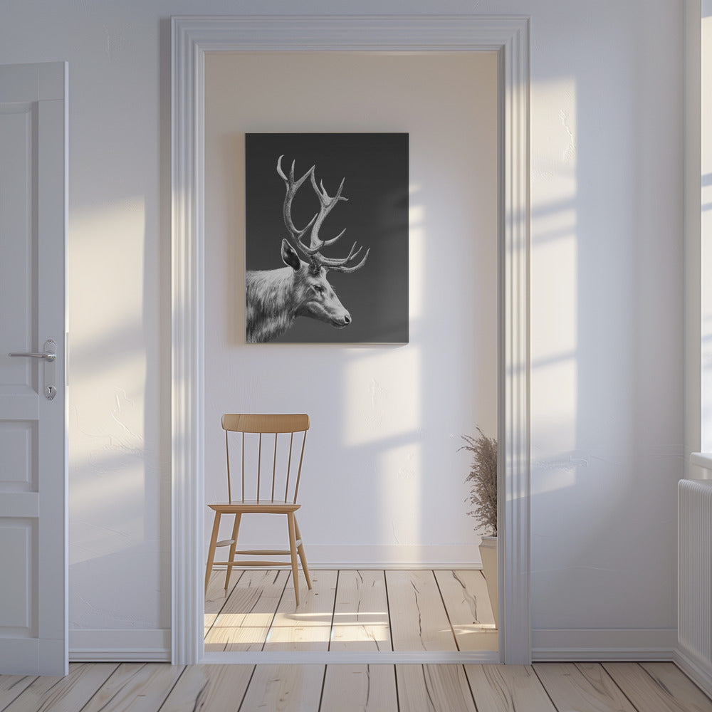 Reindeer | Canvas