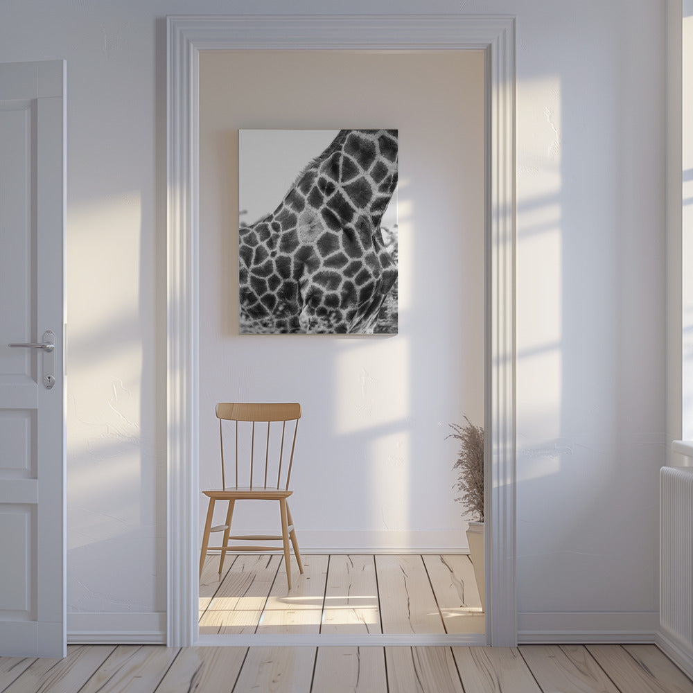 Super Safari No3 | Canvas