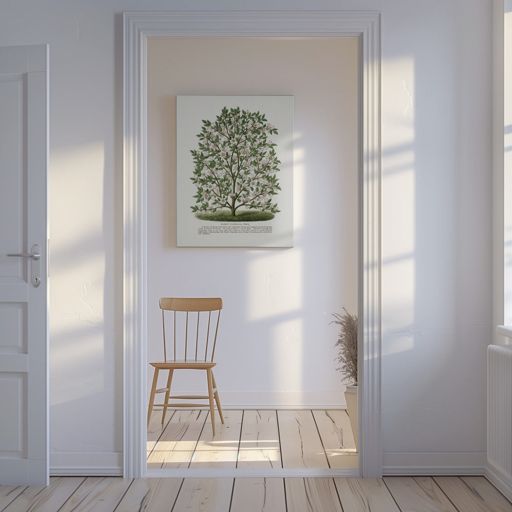 Lithographie d'un magnolia rustique | Tableaux sur Toile