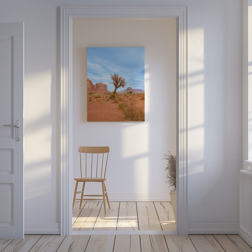 Monument Valley XI | Leinwand-Bilder