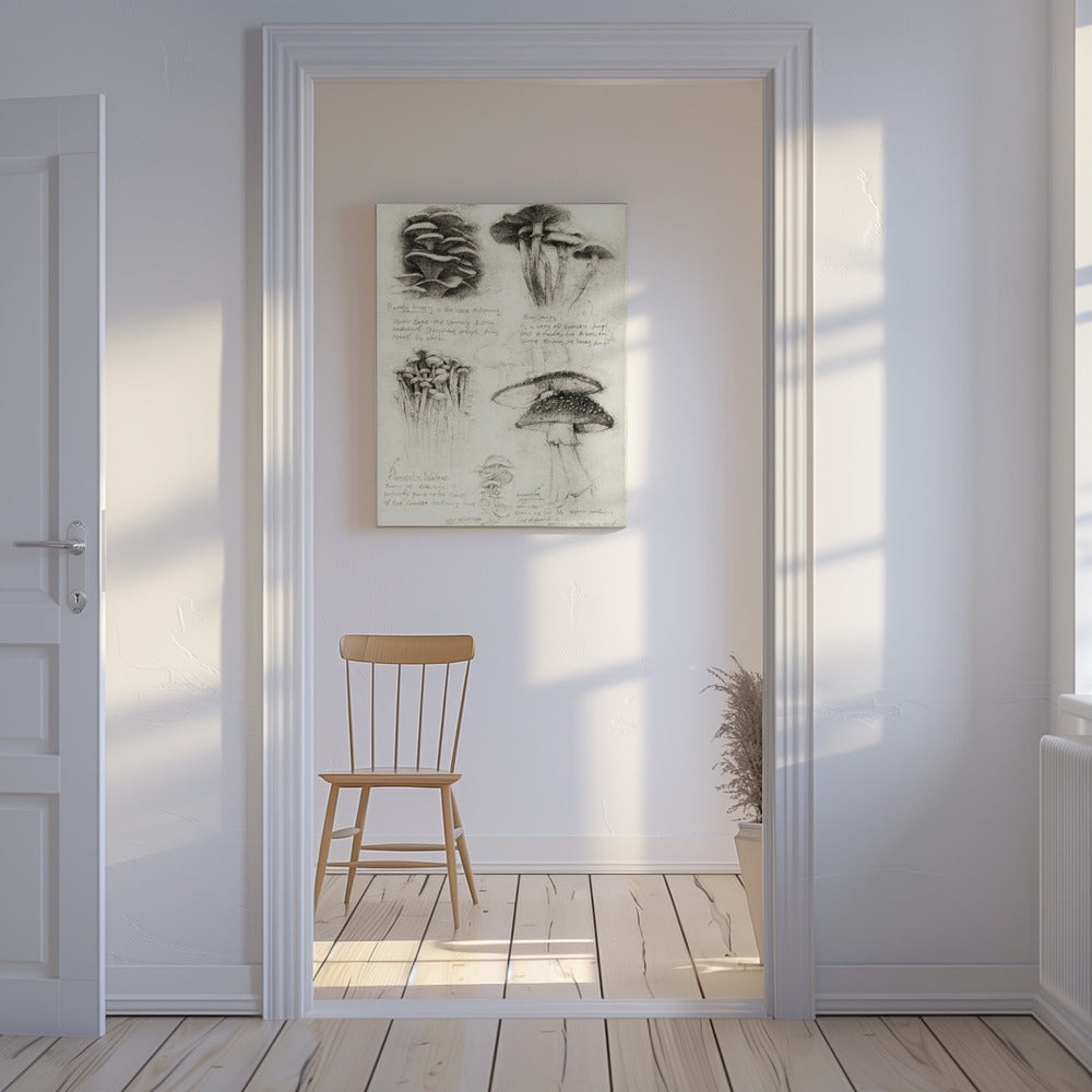 Divers champignons botaniques | Tableaux sur Toile