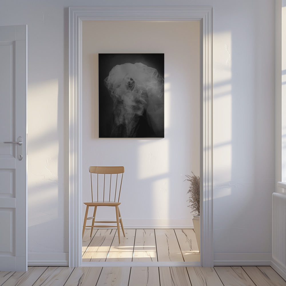 medusa | Canvas