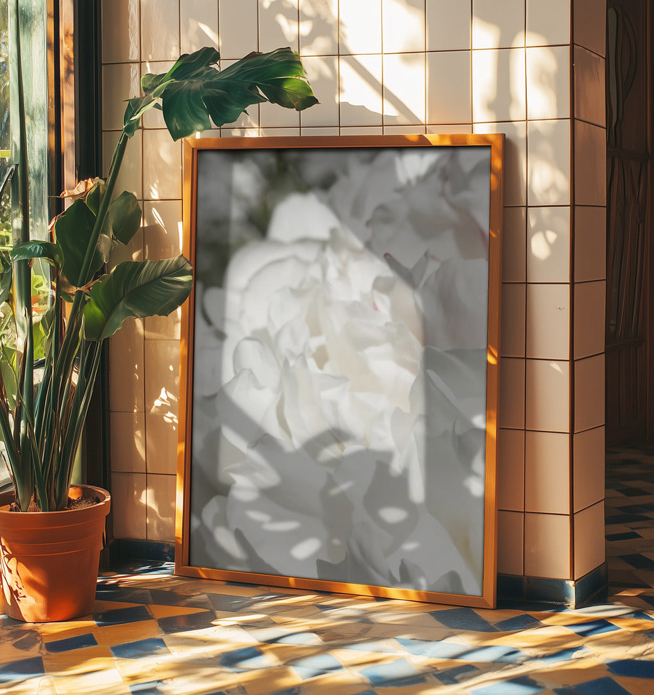 Peony 20 | Poster