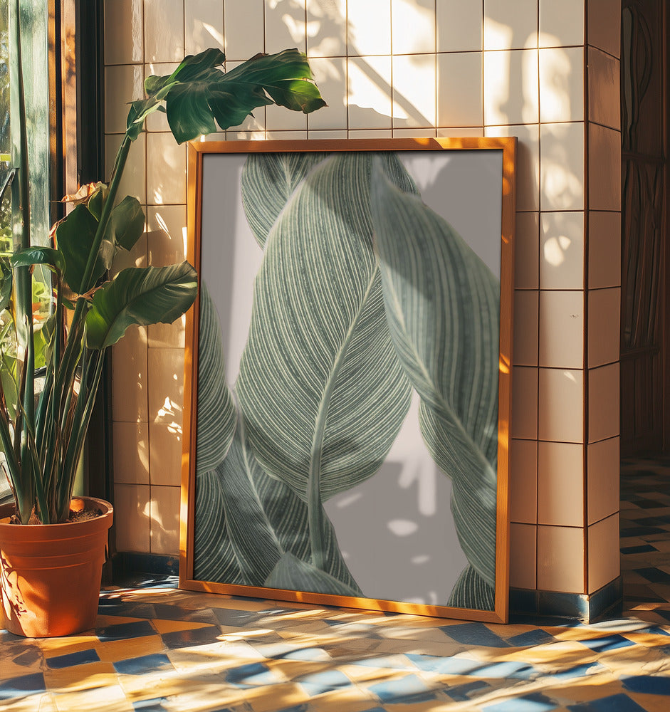 Kallablad | Poster