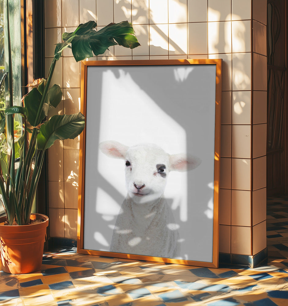 Baby Lamb | Poster
