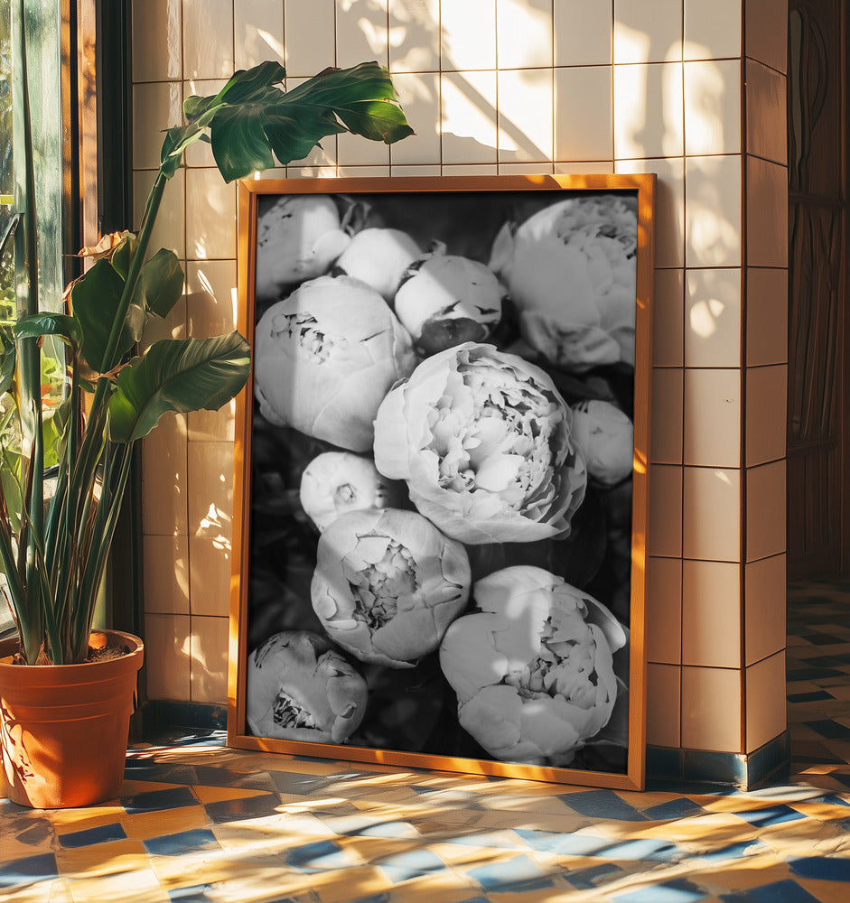 Peonies | Poster