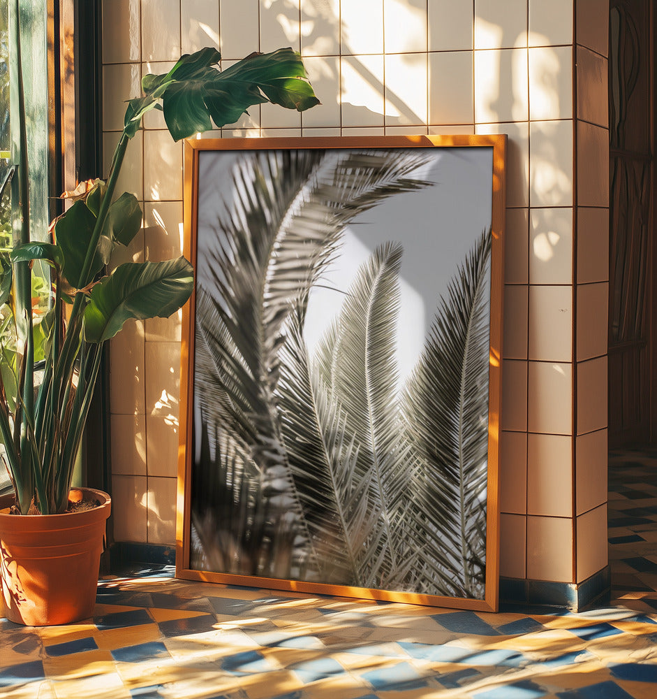 Whispers of Palms | Poster