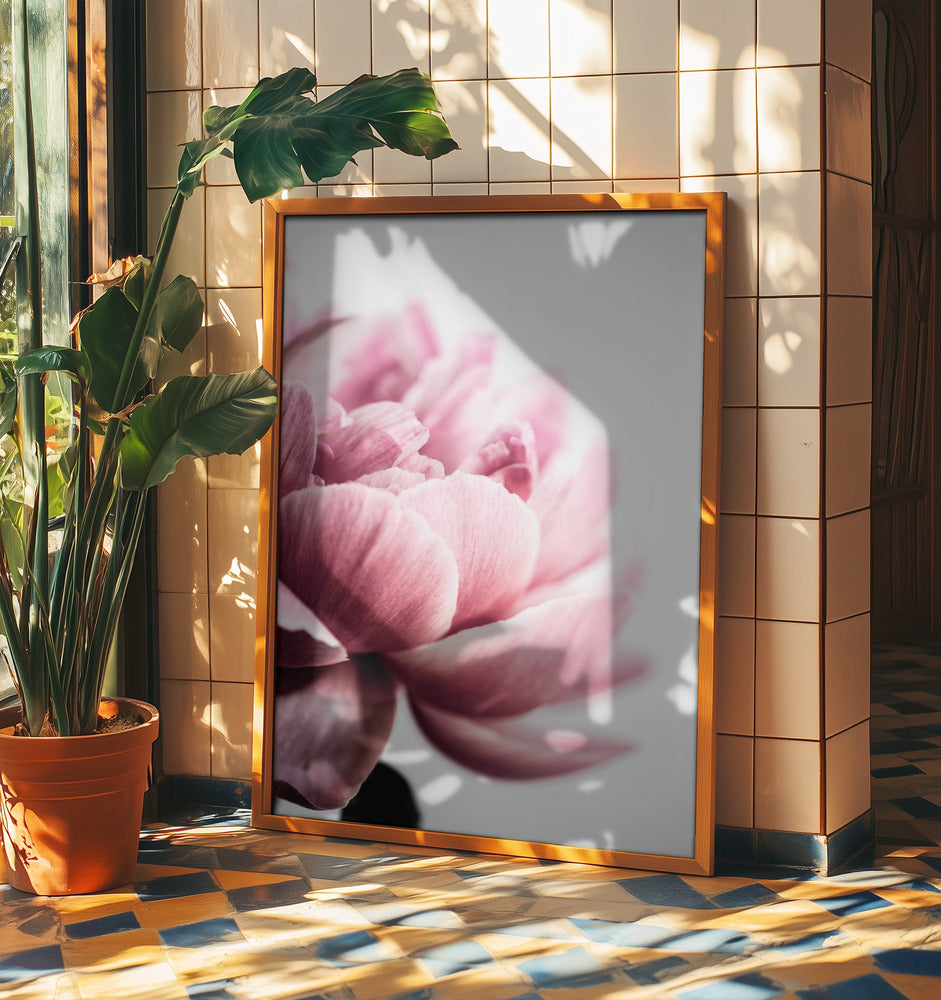 Peony 1 | Poster
