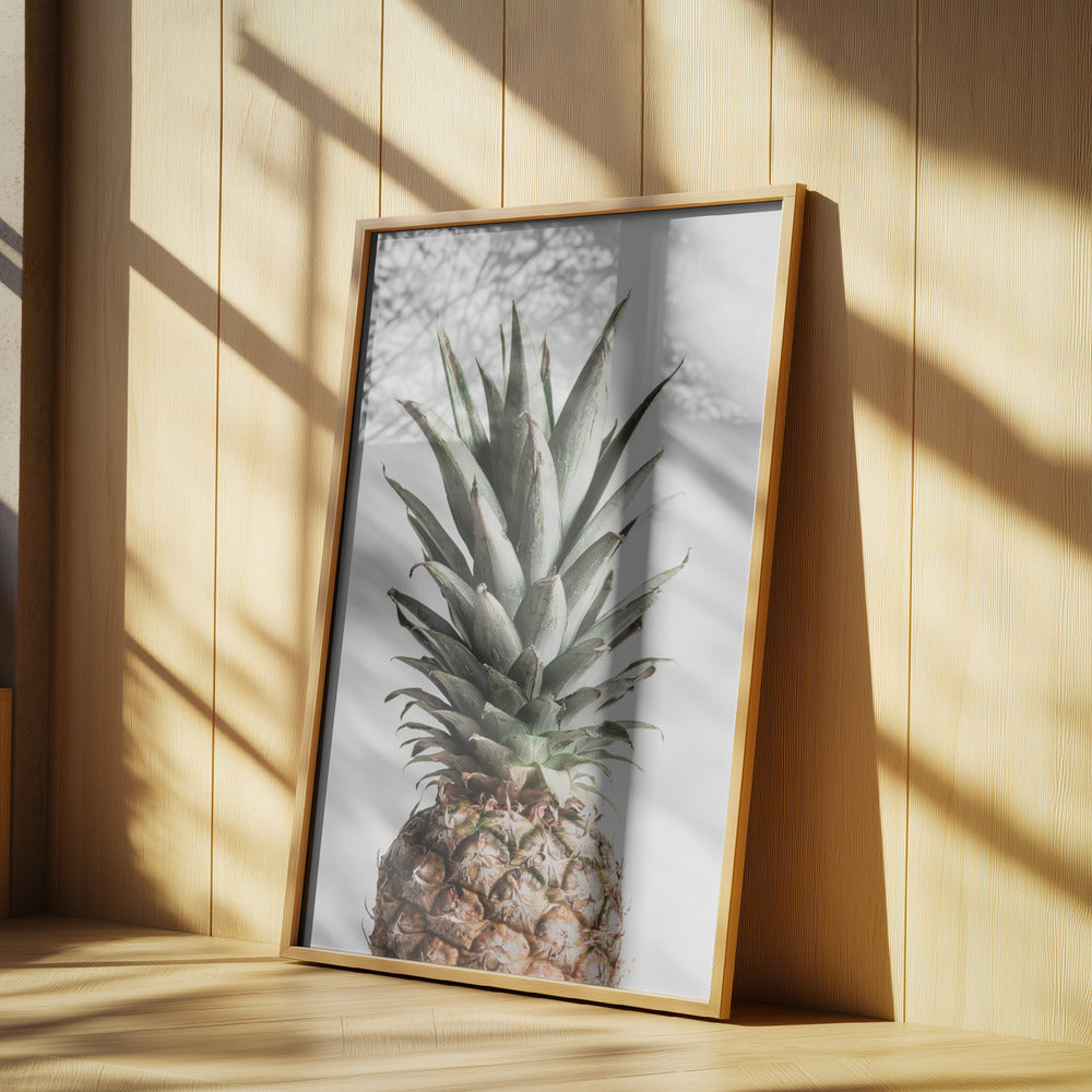 Pineapple Natural | Poster