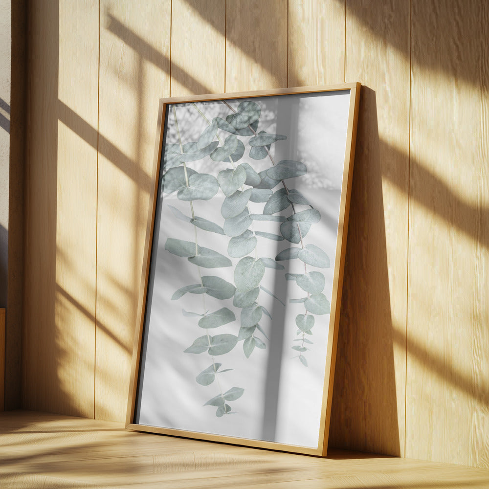 Eucalyptus I | Poster