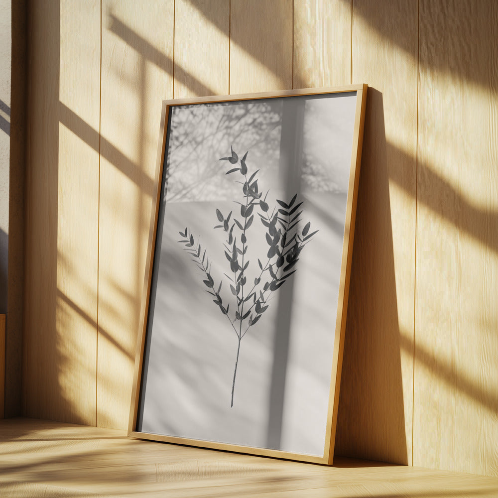 Bläckig botanisk | Poster