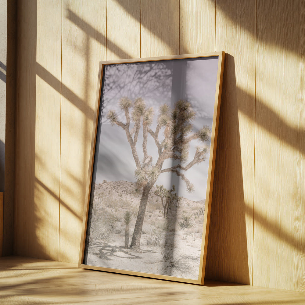 Joshua Tree | Poster
