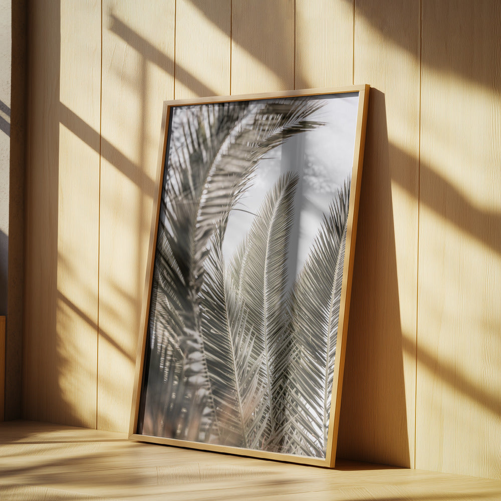 Whispers of Palms | Poster