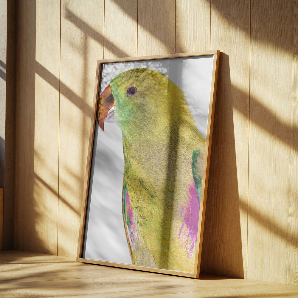 Vibrant Parrot Profile | Poster