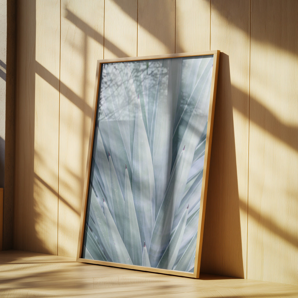 Azure Agave Dance | Poster
