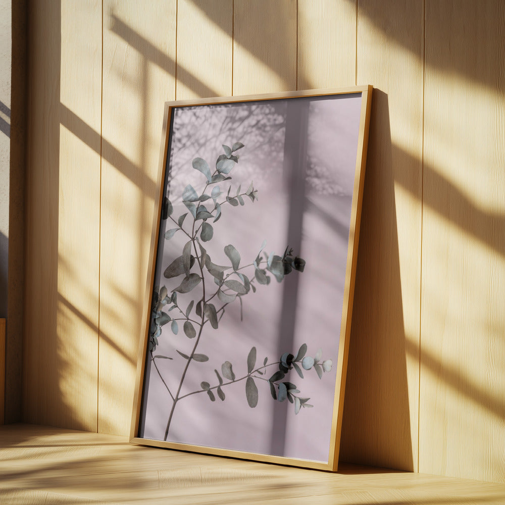 Eukalyptus 12 | Poster