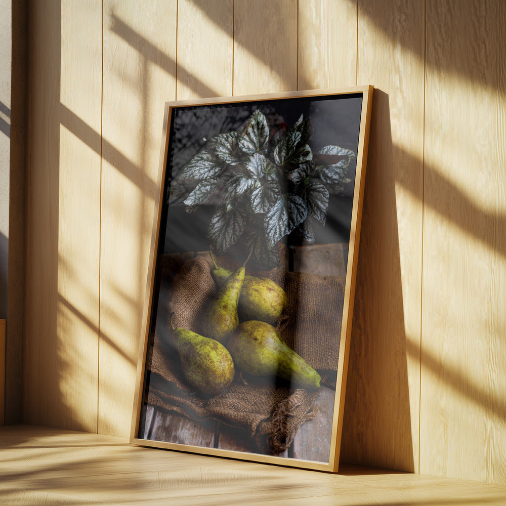 peras | Posters - Impresiones de Arte
