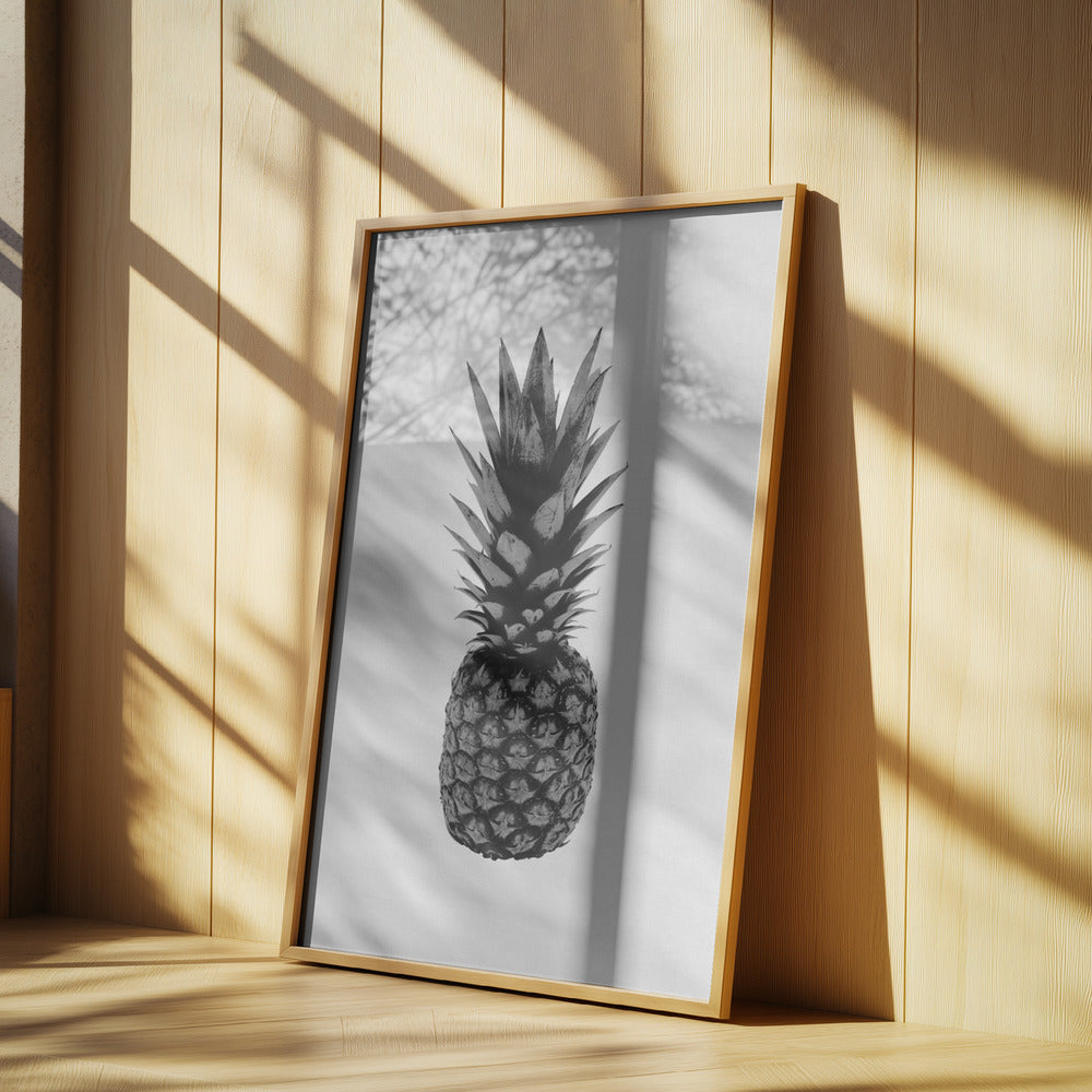 Ananas Bianco e Nero | Poster - Stampe d’Arte