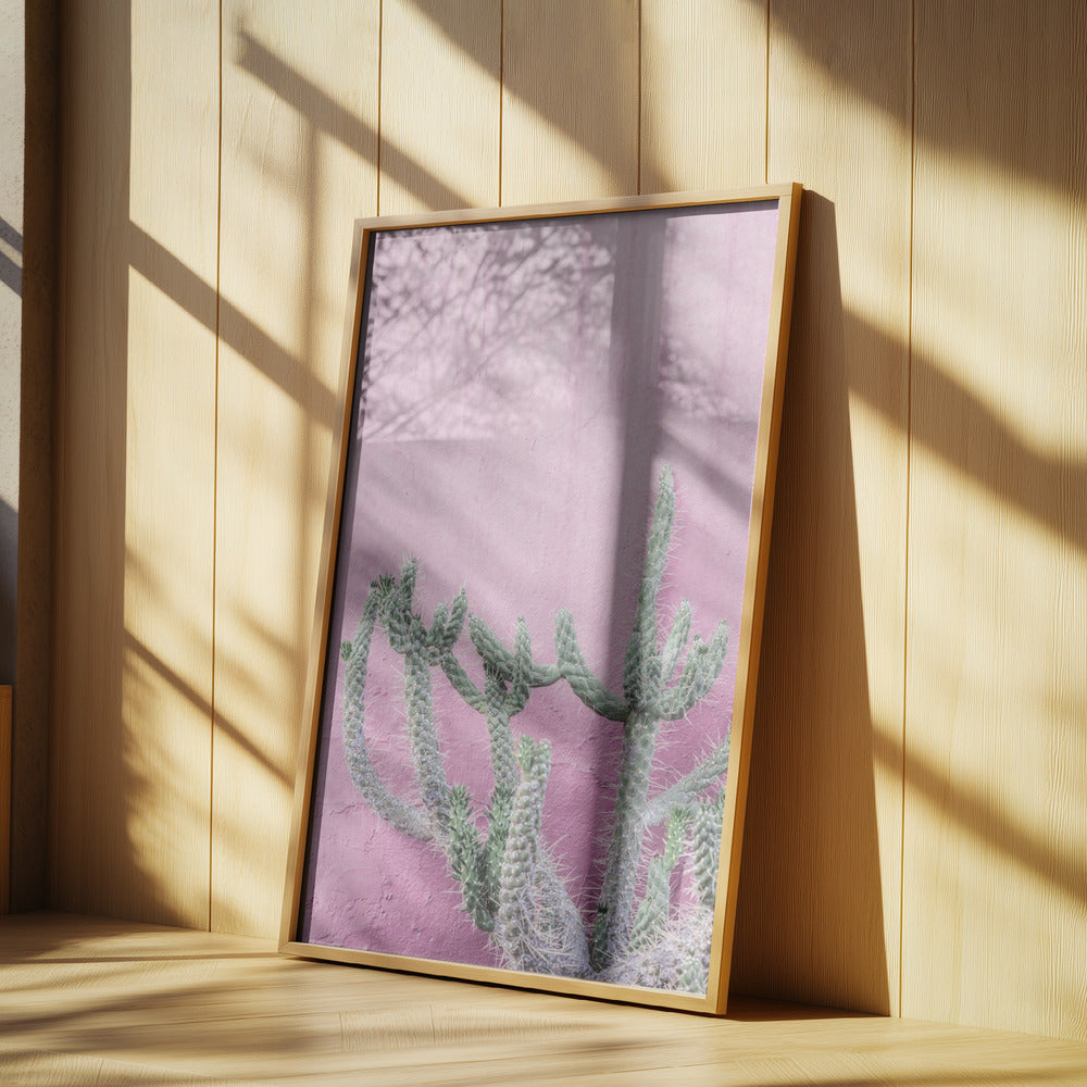 Cactus On Pink | Poster