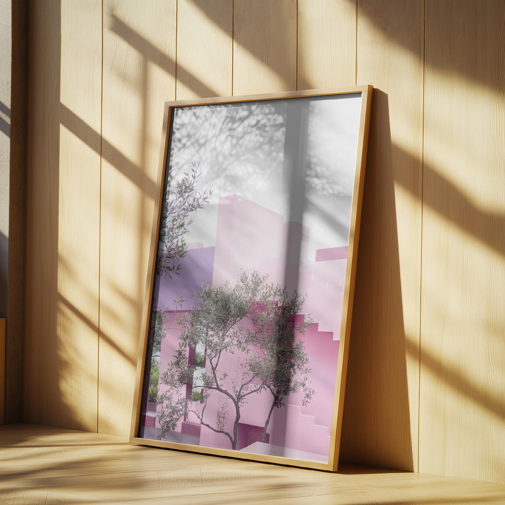 La Muralla Garden | Poster