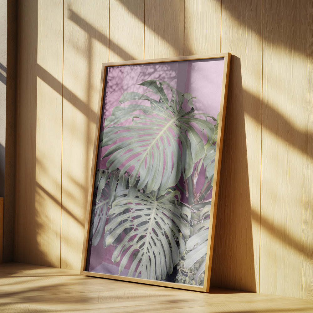 Monstera leaf La Muralla | Poster