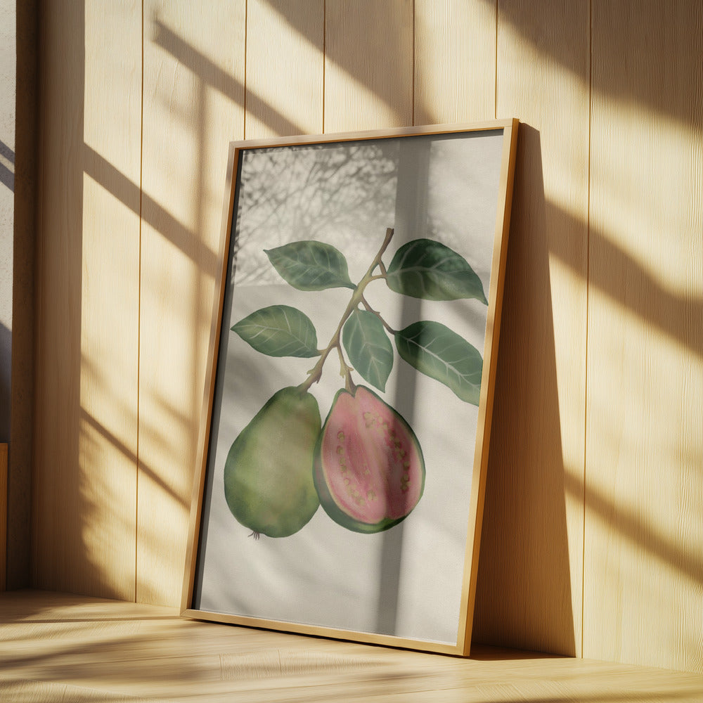 Vintage guava | Poster