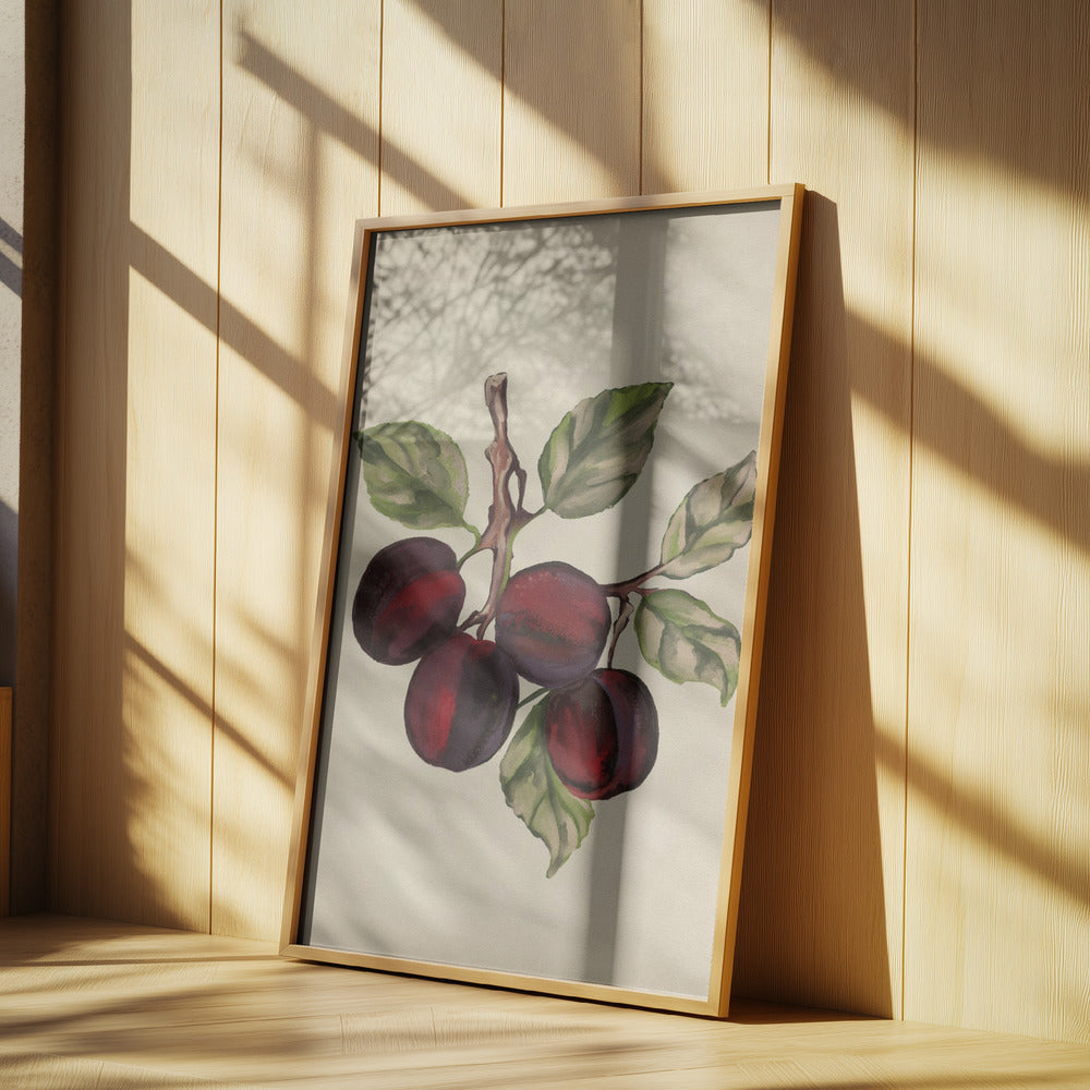 Vintage fruktsamling | Poster