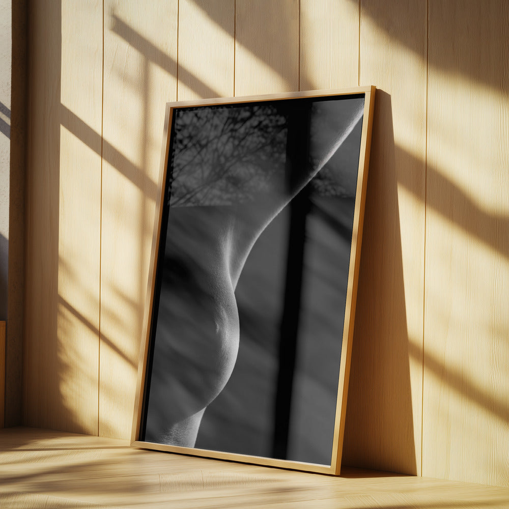 Nude detail | Poster