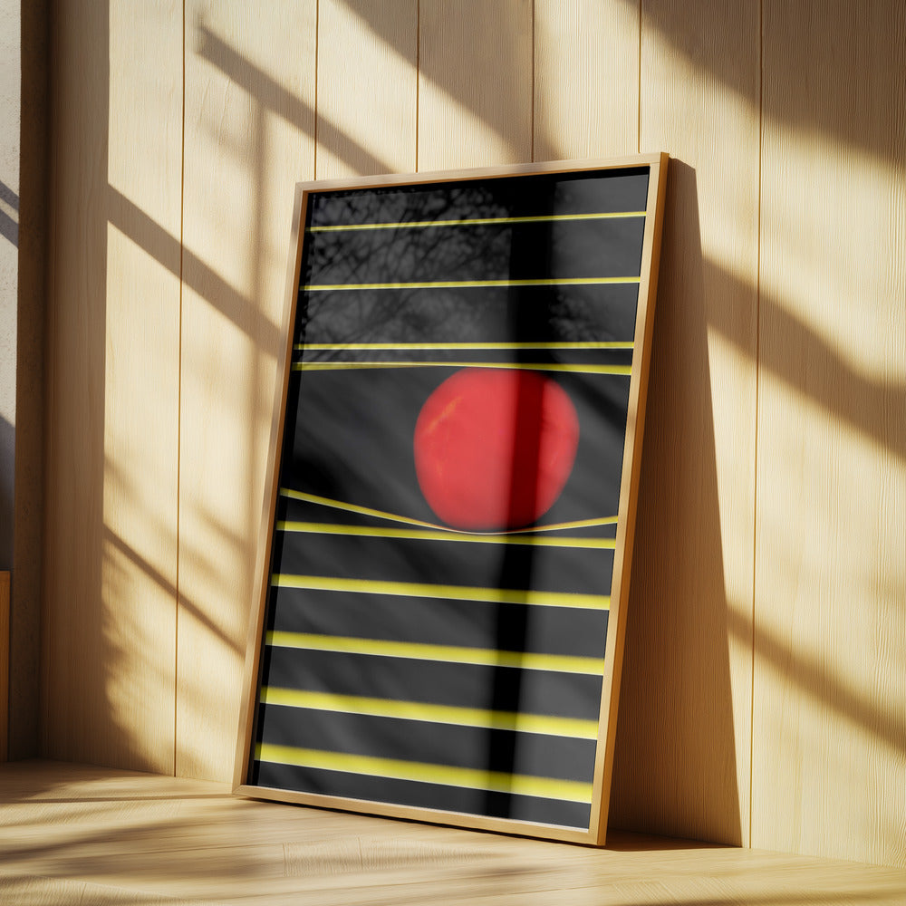 Linjer och cirklar | Poster