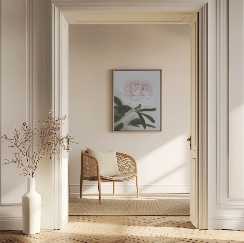 Peony 10 | Poster