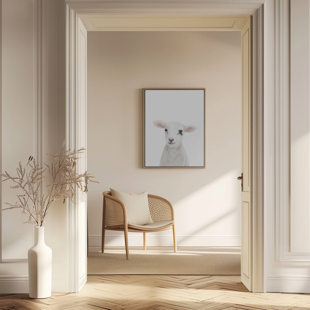 Baby Lamb | Poster