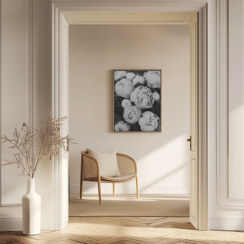 Peonies | Poster