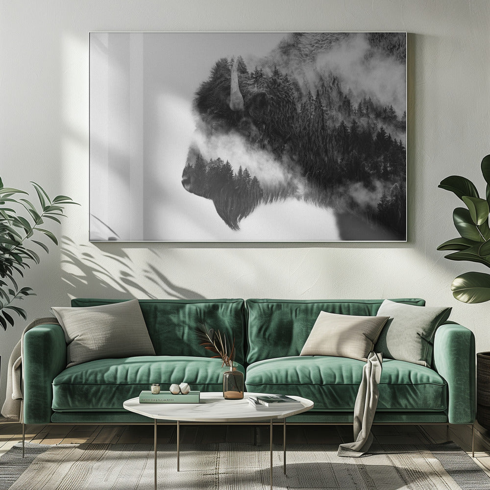 Bison | Canvas