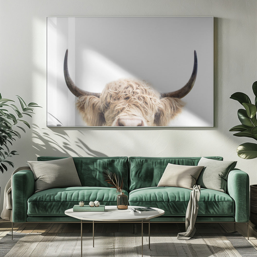 Vaca que mira fijamente Impresiones en Lienzo