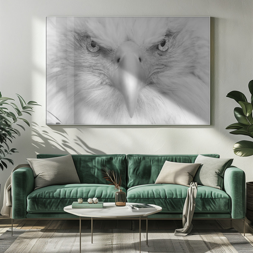 Moordende ogen | Canvasprints