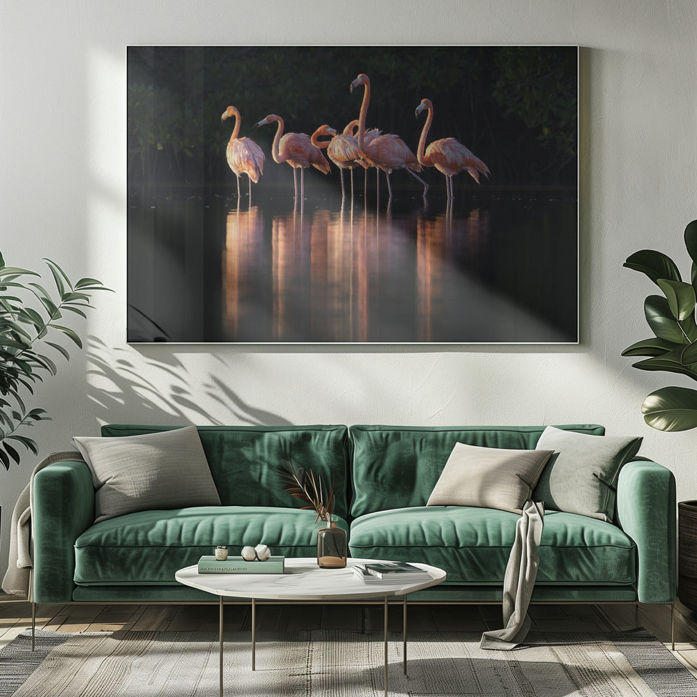 Roze Dageraad | Canvasprints