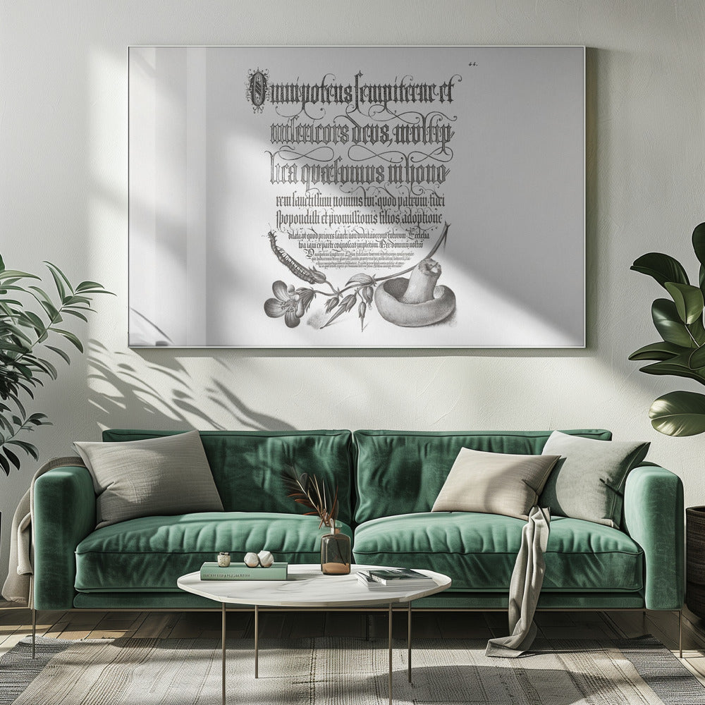 Duizendpoot, bosooievaarsbek en paddenstoel Bw horizontaal | Canvasprints