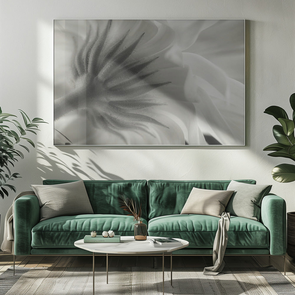 Calendula | Canvas