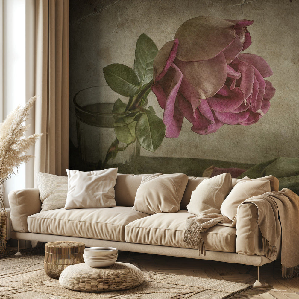 Träne der Rose | Fototapeten