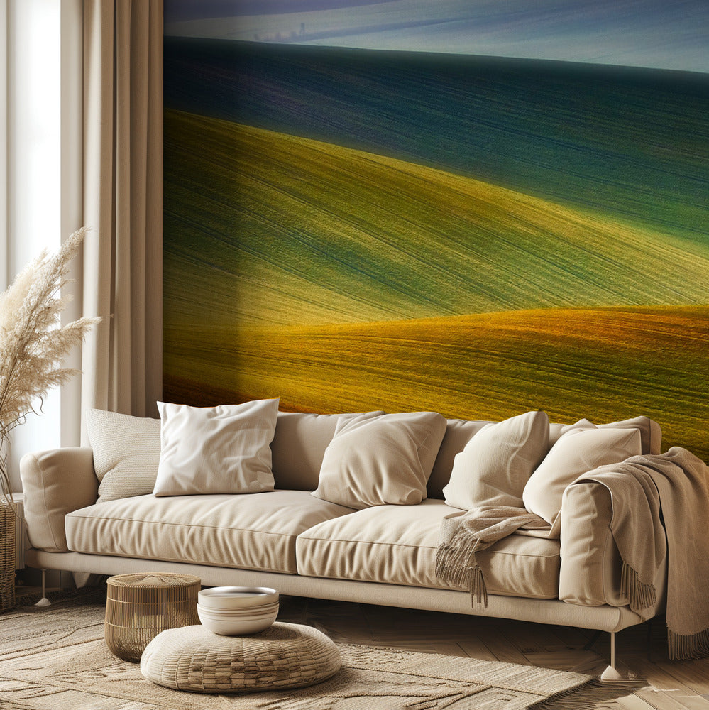 Spring fields | Wallpaper