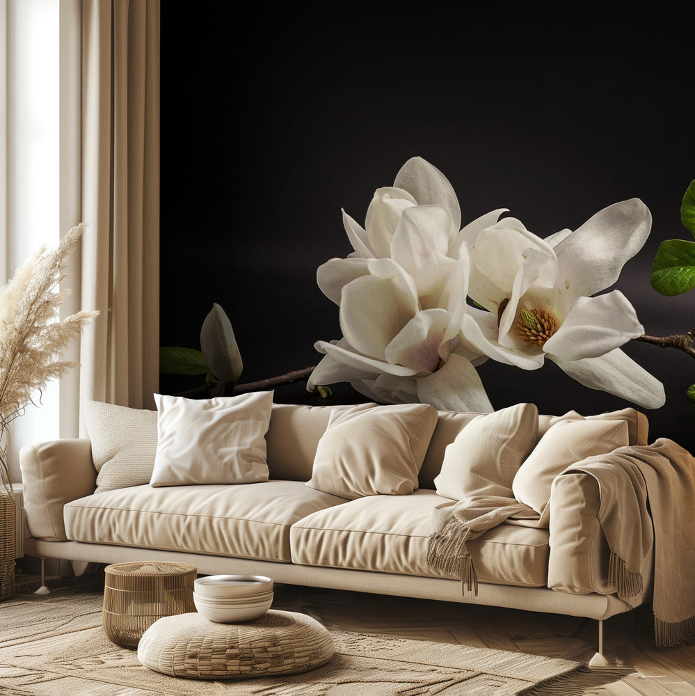 Magnolia | Fototapeta
