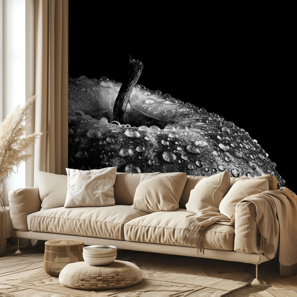 bellen | Fotobehang