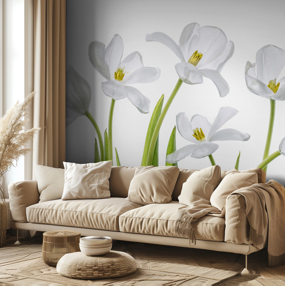 Tulipes blanches | Papier Peint Photo
