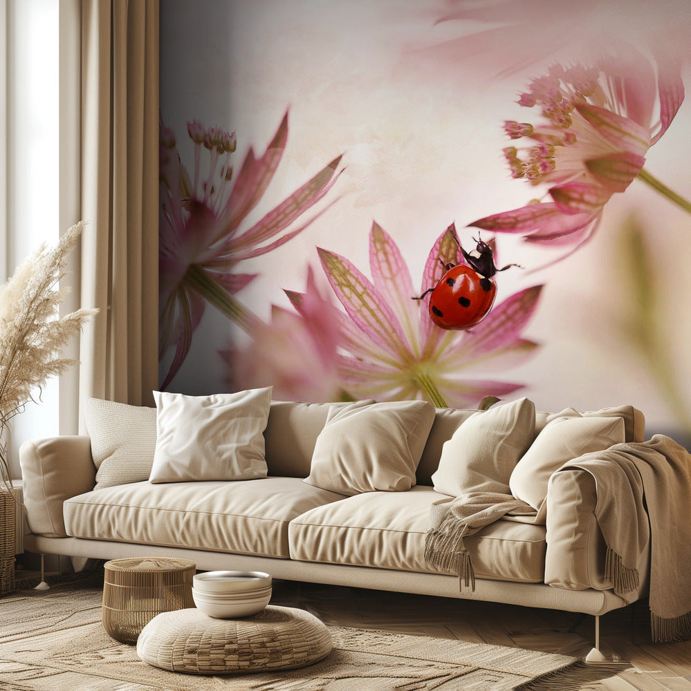 Lieveheersbeestje en roze bloemen | Fotobehang