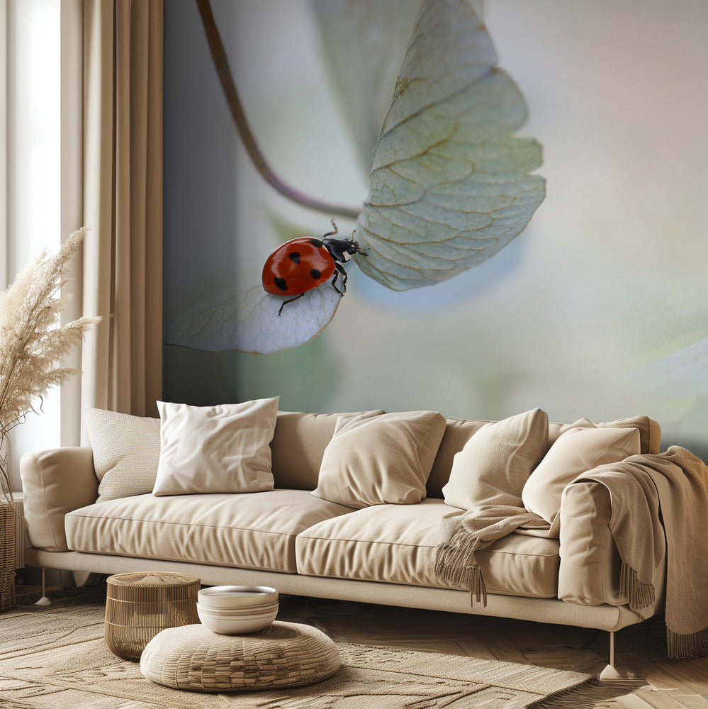 Ladybird on blue-green hydrangea | Wallpaper