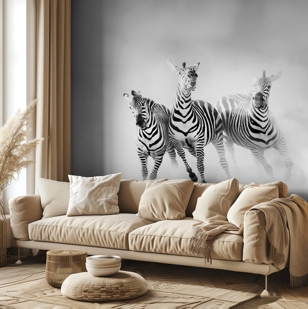 ZEBRAR | Fototapet