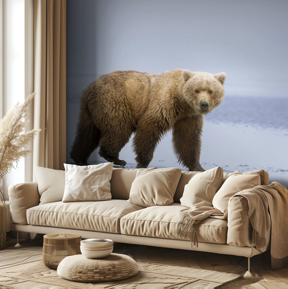 La passeggiata dell'orso | Carta da Parati Fotografica